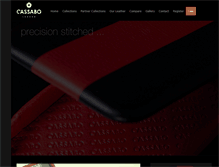 Tablet Screenshot of cassabo.com